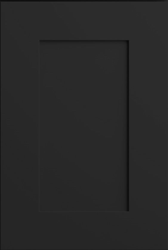 Elegant Jet Black Sample door